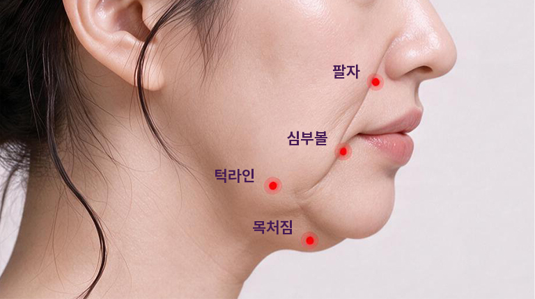 입체적 디자인 모델 이미지